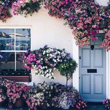 Flores & Detalhes