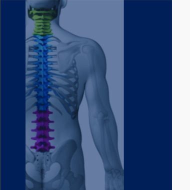 Quiropraxia thetahealing