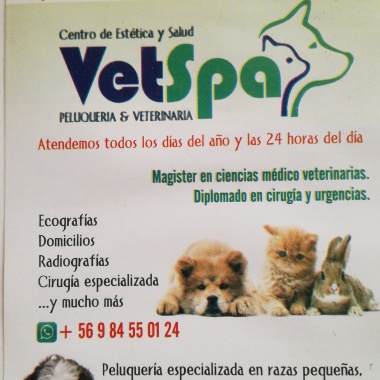 Vetspa clínica veterinaria y peluquería