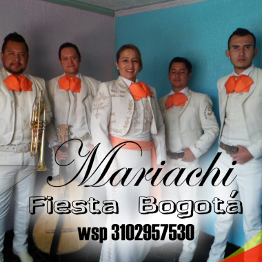 Organizador de eventos empresariales profesional