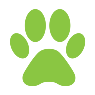 HappyTail Hundefotografie - Tierfotografie