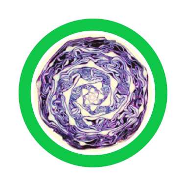 Alejandra Terra - ASESORA EN BIENESTAR Y ESTILO DE VIDA AYURVEDA. TERAPEUTA AYURVEDA.