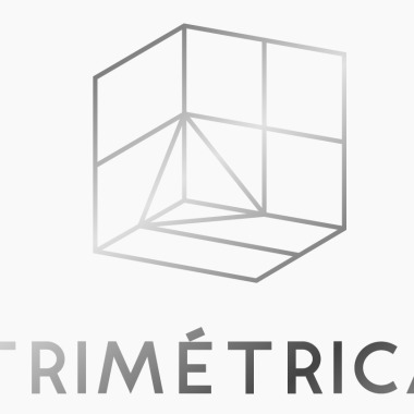 G.C.TRIMETRICA DE MÉXICO SA CV