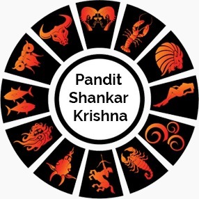 Shankar Krishna