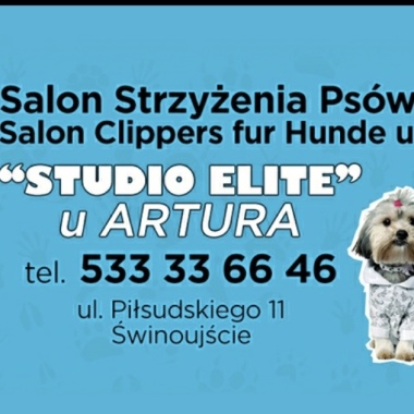 Studio Elite - Strzyżenie Psów, Grooming von Hunden - Świnoujście