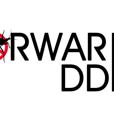 Forward DDD. Świńczyk G.
