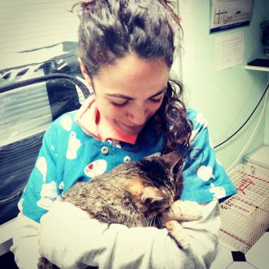Clínica veterinaria vinalopó