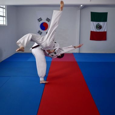 MUGUNGHWA ACADEMY MEXICO