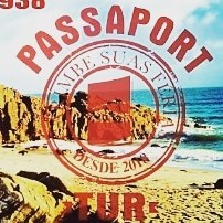 Passaport tur