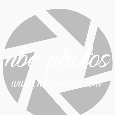 NBE Photos