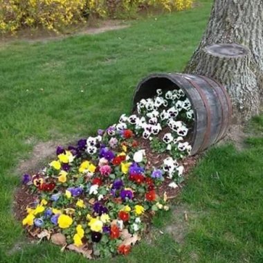 Hermoso Jardin