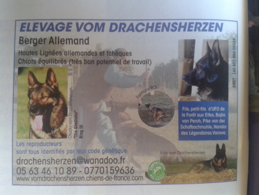 Vom Drachensherzen