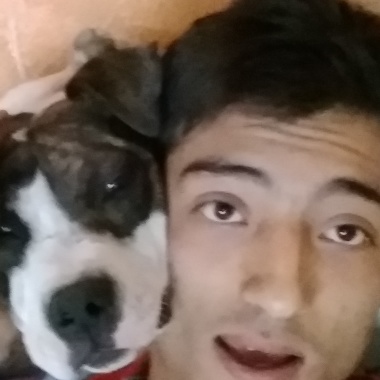 Cuidador de caninos ulises