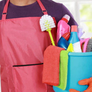 Servicios domésticos  gregory