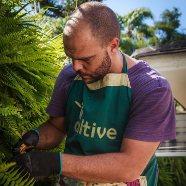 Cultive Soluções Ecológicas