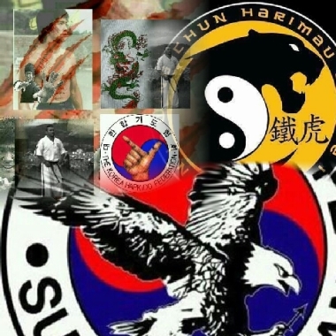 Escuela de artes marciales mixtas bodhny dharma C