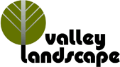 Valley Landscape