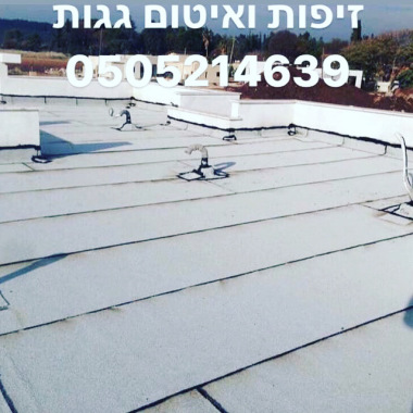 איטום ובידוד גגות