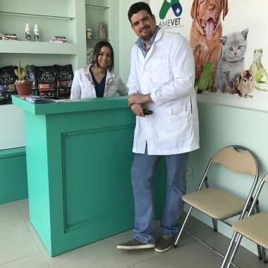 Amevet