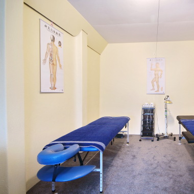 Cheng Traditional Chinese Medicine LTD