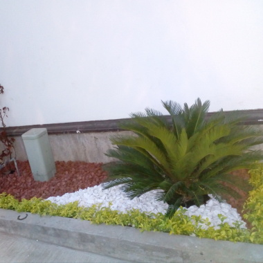 Jardineria JAVAZ