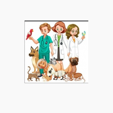 Servicio medico veterinario  domicilario , veterinario en casa
