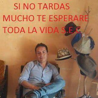 Luis fernando