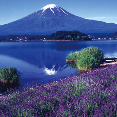 Cours De Japonais