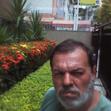 Menescau Jardinagem
