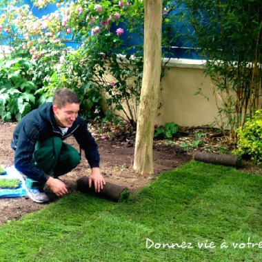 PHENIX GARDEN Paysage