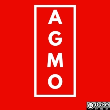 La Agencia de Modelos Publicidad y Más -AGMO-