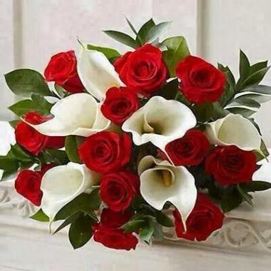 FLORARIA CALA SRL