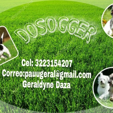 Doggers