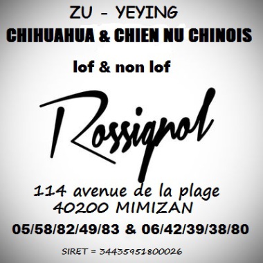 ZU-YEYING