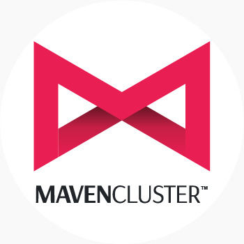 Maven Cluster Software Pvt Ltd
