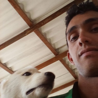 Family dog