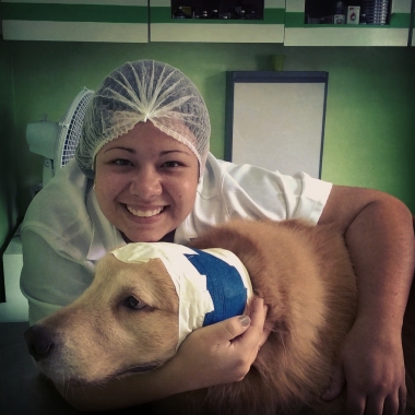Veterinária a domicilio