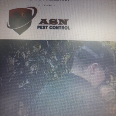 Asn pestcontrol