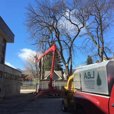 A&J Tree and Shrub Care Inc.