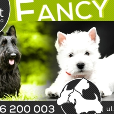 Fancy - Psi Salon
