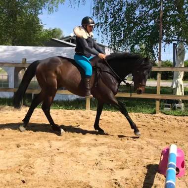 AS Equitation