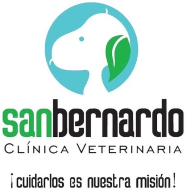 Clinica Veterinaria San Bernardo