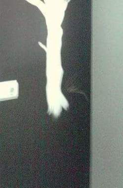 Marcdecor