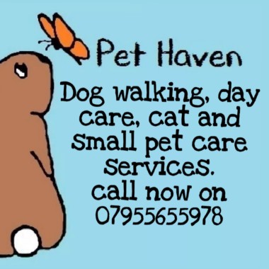 Pet haven animal care services