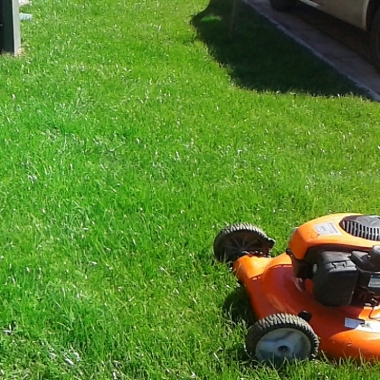 Jardineria valmor