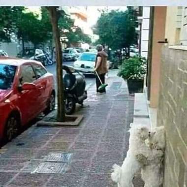Operador de makinaria pesada