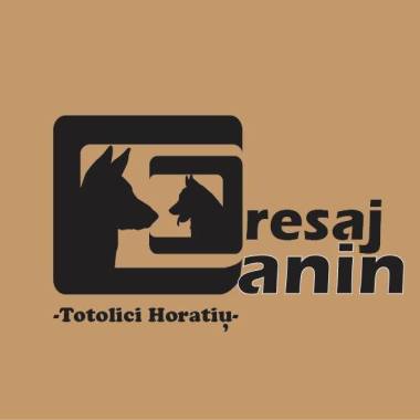 Dresaj canin-Totolici Horatiu