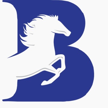 Balaji Singh Electrical Works