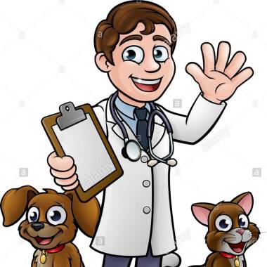 Dokter Hewan Sony Sorong