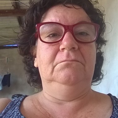 Professor Tutor